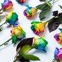 Brievenbus Rozen regenboog liggend